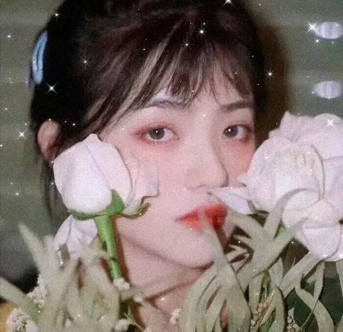 相思树