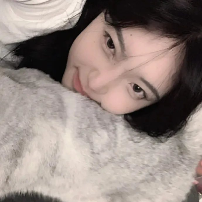情寻猫脚印